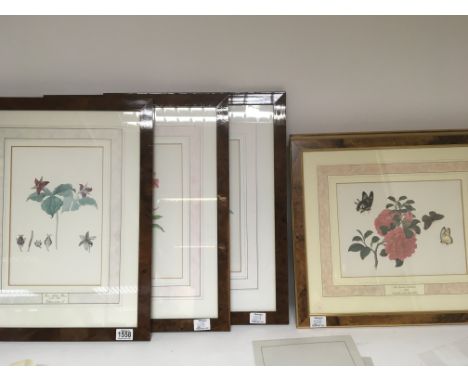 A collection of two sets of four still life and insect studies walnut framed prints The Kew Botanical Flower Illustrations an