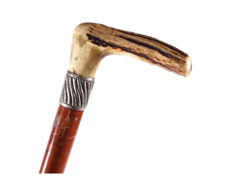 WALKING STICK with bone handle and silver ferrule