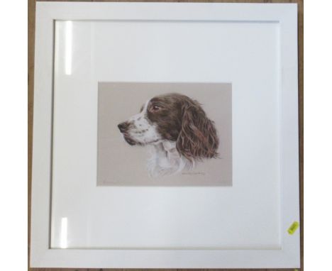Beverley Courtney, limited edition print, spaniel portrait, 8ins x 9.5ins