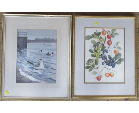 Robert Gilmor, watercolour, sea birds, 13.5ins x 10ins, together with a print of fruit