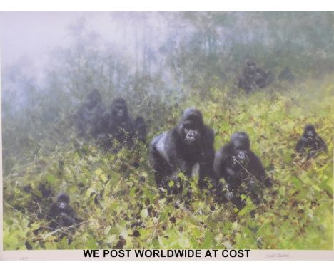 David Shepherd: "In the Mists of Rwanda", signed limited edition print (79/250) gorillas in the forest, with certificate, fra