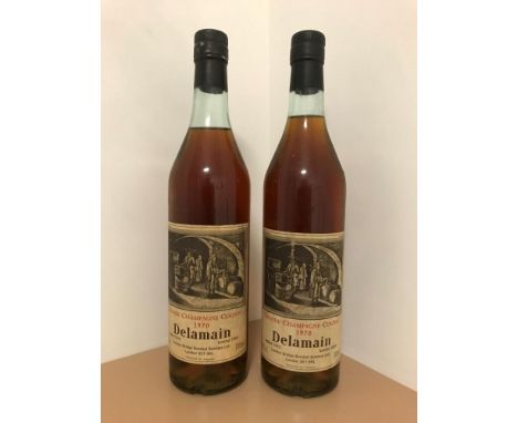 Delamain Grande Champagne cognac 1970, 2 btls  