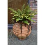 A large ribbed design faux terracotta planter with fern.