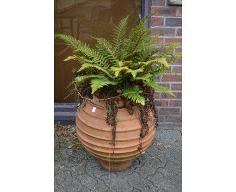 A large ribbed design faux terracotta planter with fern.
