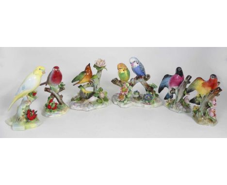 A group of six Royal Adderley porcelain figures of birds, to include myrtle warblers, English robin, and budgerigars 