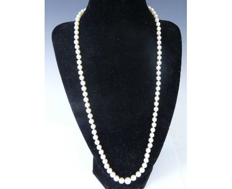 A single row of eighty-nine 5.3 to 8.2mm graduated cultured Akoya pearls, strung knotted to a 9ct yellow gold circular pearl 