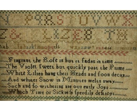 A 19th century sampler by Elizabeth Wells along with a Victorian tapestry of a King Charles spaniel. H.31 W.32.5cm. 