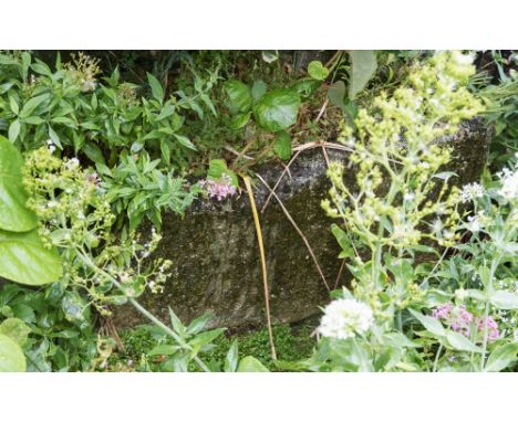 A limestone trough planter, rectangular form