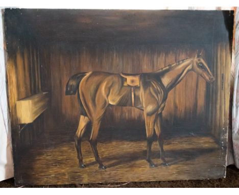 A portrait of a Horse, oil on canvas 
