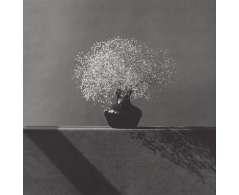 Robert Mapplethorpe (American, 1946 - 1989). "Baby's Breath". Original vintage photogravure. 1982. Printed 1988. Stamped with