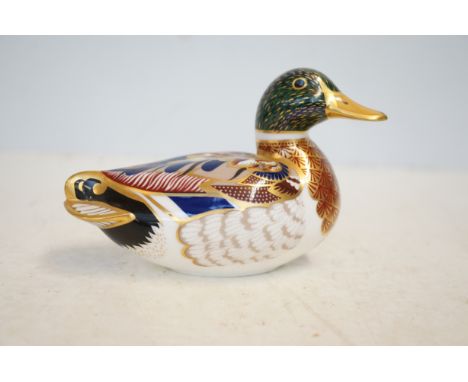 Royal crown derby mallard duck first 