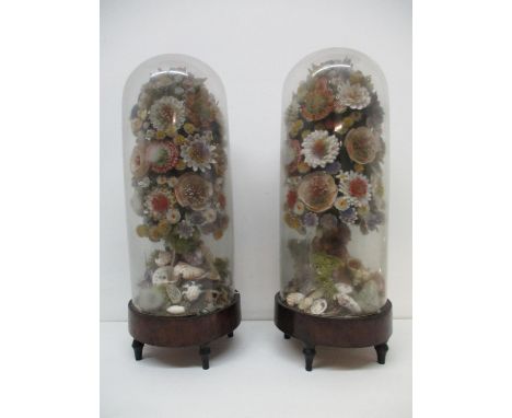 A pair of Victorian shell-work floral bouquets with additional shells to the base, under glass domes, each on a wooden base a