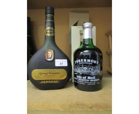 A single bottle of Tobermory Scotch Whisky and Janneau Brandy 68cl 