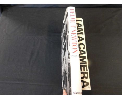 Two vols Art interest: "I am a Camera" (Saatchi Gallery) and Helmut NEWTON "Work".