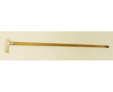 An ivory handled walking stick W M Hoyland 'Penistone'