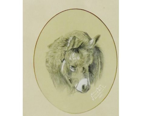 Nannie O'Rourke  Convent Shcl, St. Leonards on Sea, 1880' Sketch of a Donkey',  in an oval mount and glazed giltwood frame, 2
