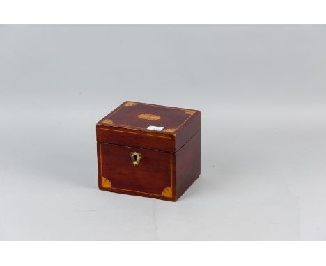 An Edwardian Sheraton style mahogany tea caddy with satinwood fan inlays and boxwood stringing, single chamfered lid with bra