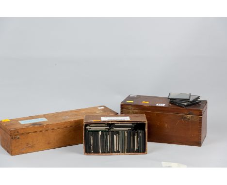 A collection of six hundred plus Magic Lantern slides, various subjects to include topographical, animal, birds, hand coloure