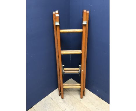 8 Rung small extendable ladder (approx 2M) 