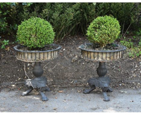 A pair of black painted cast iron planters in late 18th Century style, each with circular basket top raised on baluster colum