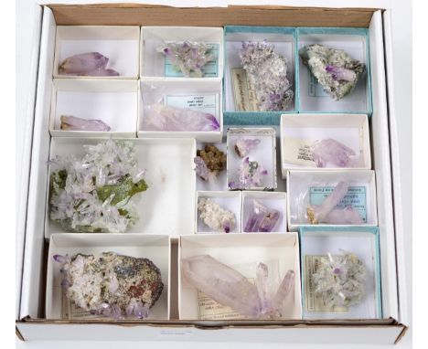 A Tray Containing Nineteen Specimens of Amethyst crystals From Vera Cruz, Mexico 