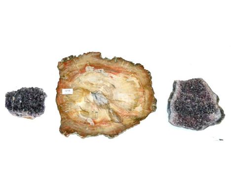 A Complete Tree Section of Petrified Wood and Two Pieces of Amethyst from Brazil (3)