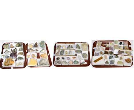 Four Trays of Mineral Specimens, including Amethyst, Beryl and Apatite etc 