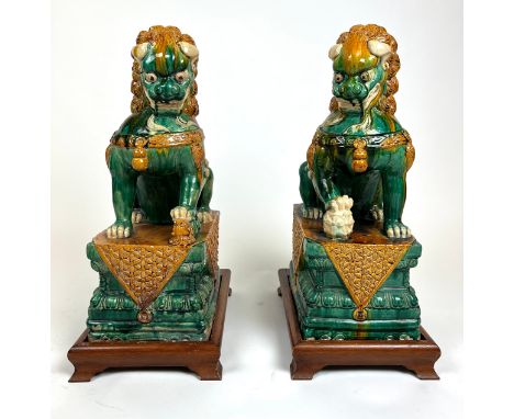FOO DOGS, a pair, Sancai glazed ceramic on carved wooden bases, 70cm H. (2) 