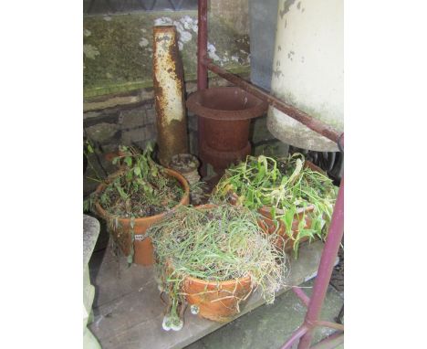 A reproduction cast iron campana shaped garden urn with flared rim, a weathered terracotta planter of circular form with ring