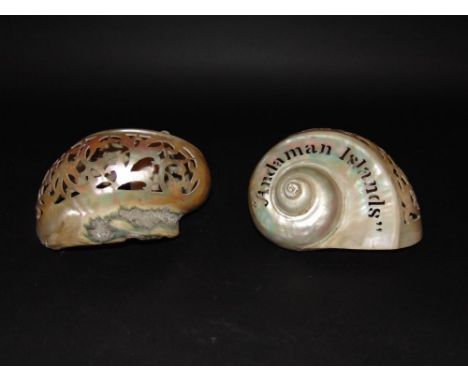 A pair of 19th century carved souvenir pearl shells, one inscribed 'From Reggie to Mother' the other 'Andaman Islands', with 