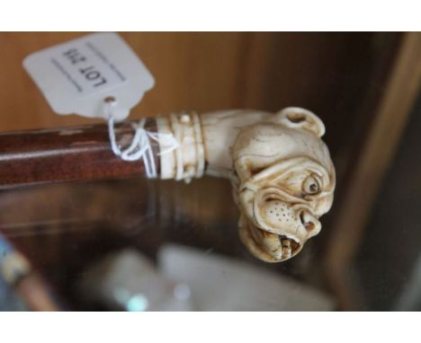 Walking stick with a snarling dogs head pommel