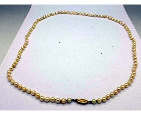 A cultured pearl necklace with a 14ct gold clasp