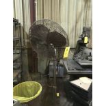 Shop Fan