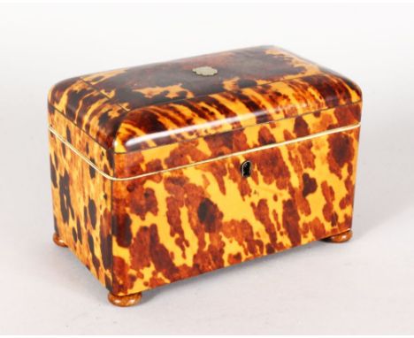 A GOOD REGENCY MOTTLED TORTOISESHELL TWO DIVISION TEA CADDY on four wooden bun feet. 7ins wide.