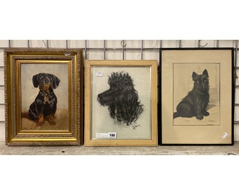 PASTEL OF A POODLE WITH DASHAUND , PAINTING &amp; PENCIL BY COLIN CAMPBELL - LARGEST IS 38CM  X 30CM