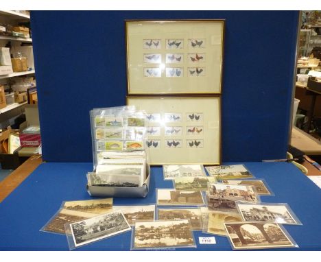 A large quantity of vintage postcards mainly of Herefordshire, plus cigarette cards of fish and two framed sets of cigarette 