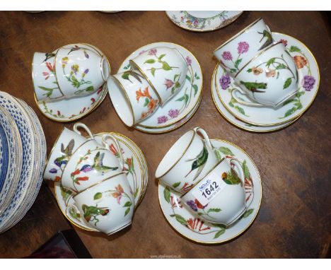 Eleven "Humming birds of the World" Bavarian cups and saucers.