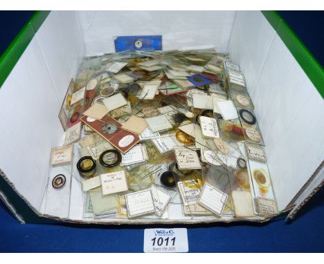 A good quantity of antique Microscope Slides with handwritten labels to include: spleen of a rat, Manila hemp, starch from ma