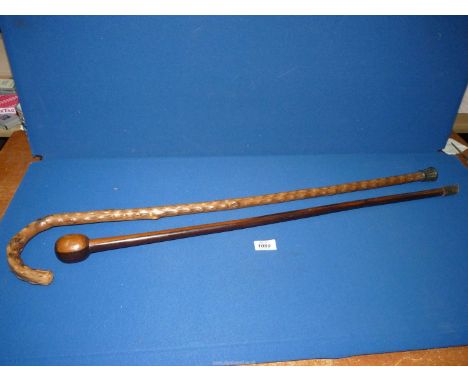 An early 20th century Blackthorn walking stick, 33" long, plus a late 19th century Holly tree walking cane with globular top.