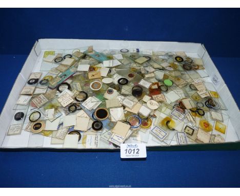 A good quantity of antique Microscope Slides with half-written labels to include: head of a dragonfly larva, cockroach, yeast