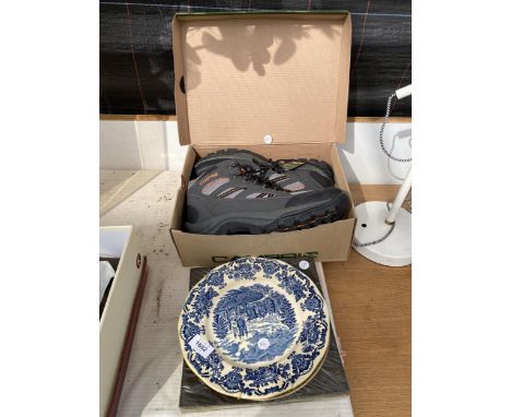A VINTAGE BLUE AND WHITE PLATE AND A FURTHER COLLECTORS PLATE AND A PAIR OF HIKING BOOTS 