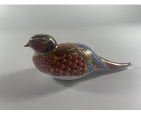 A ROYAL CROWN DERBY PHEASANT PAPERWEIGHT WITH SILVER STOPPER 