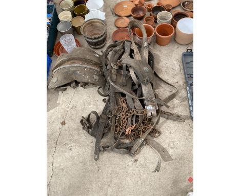 AN ASSORTMENT OF VINTAGE HORSE TACK TO INCLUDE A SADDLE AND HARNESSES ETC 