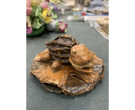 AN AUSTRALIAN WOOD AND NUT MODEL OF A TURTLE 