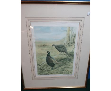 Framed and mounted R.David Digby Limited edition signed print of pheasants in wooden scene No.132/200 