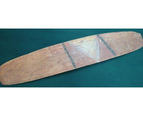 Aboriginal carved wood shield of narrow form with traces of painted decoration (64cm x 12cm) 