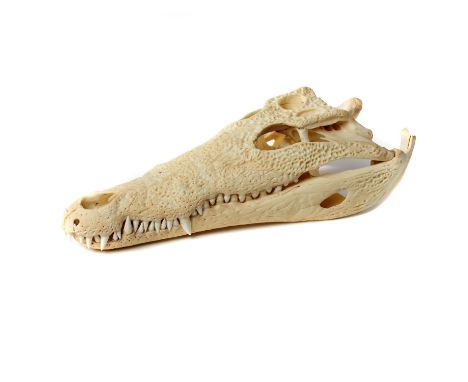 Natural History: A Nile crocodile skull, Madagascar, on metal stand, 39cm high by 17cm wide&nbsp;Import permit: IT/IM/2008/MC