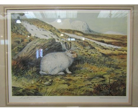 After C.S. Todd, a print depicting mountain hare, pencil signed lower left, framed and glazed, 30cm x 38cm