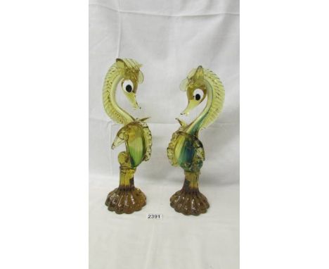 A large pair of Murano sea horses, tallest 37cm.  (Due to the fragility of this item it is collect only) ****Condition report