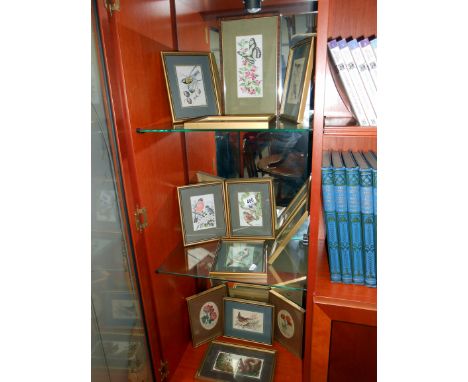12 vintage framed Cash's silk pictures of birds etc.